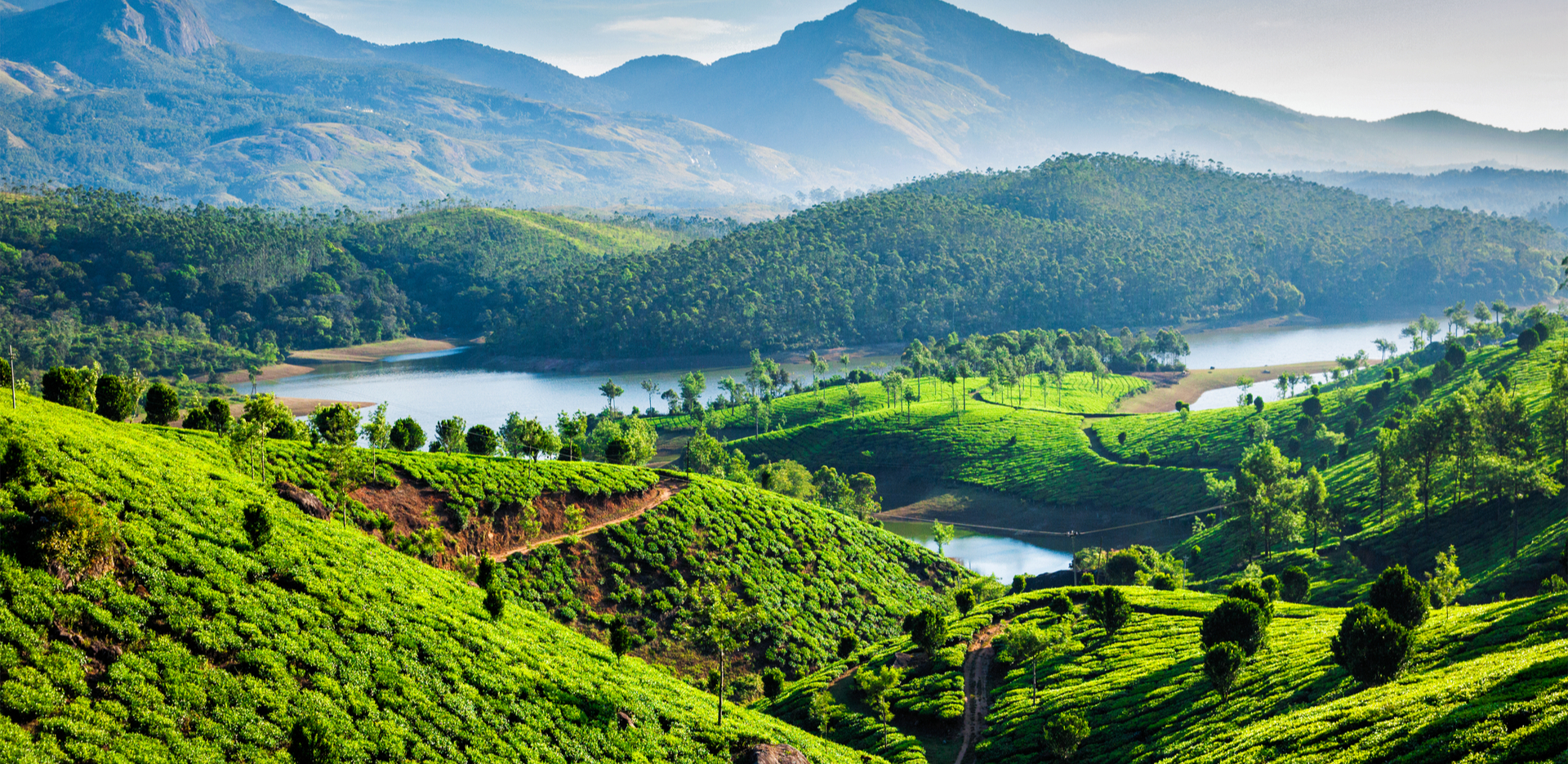 Munnar,